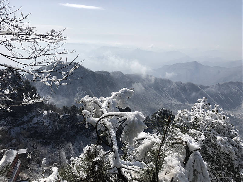 新城注册十年十座山