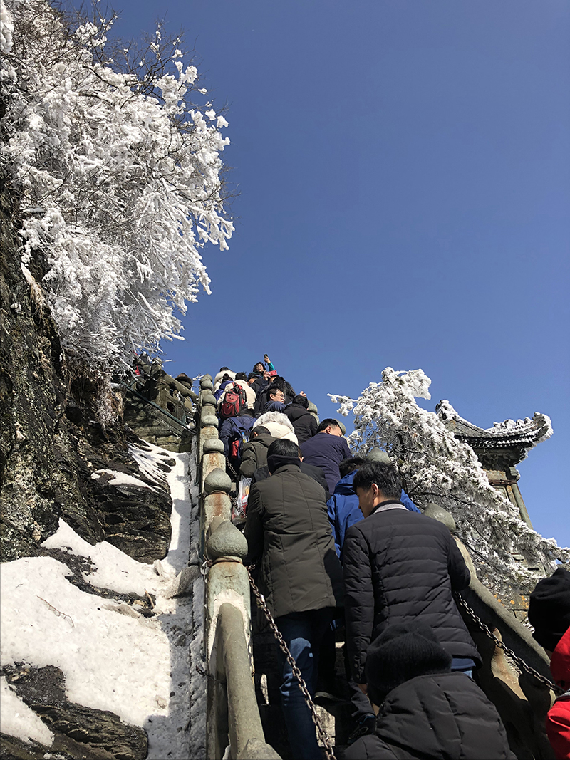 新城注册十年十座山